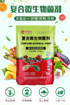 土傳病克星 復合微生物菌劑及其抗重茬、抗病害的創新研發