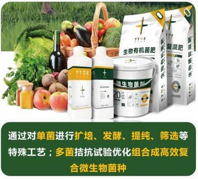 從辣椒加工到菌肥生產，她用五年搶占南方市場！_南方plus_南方+生物有機肥料研發